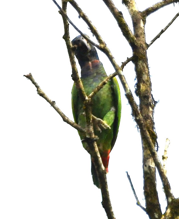 DSC_5824b.jpg