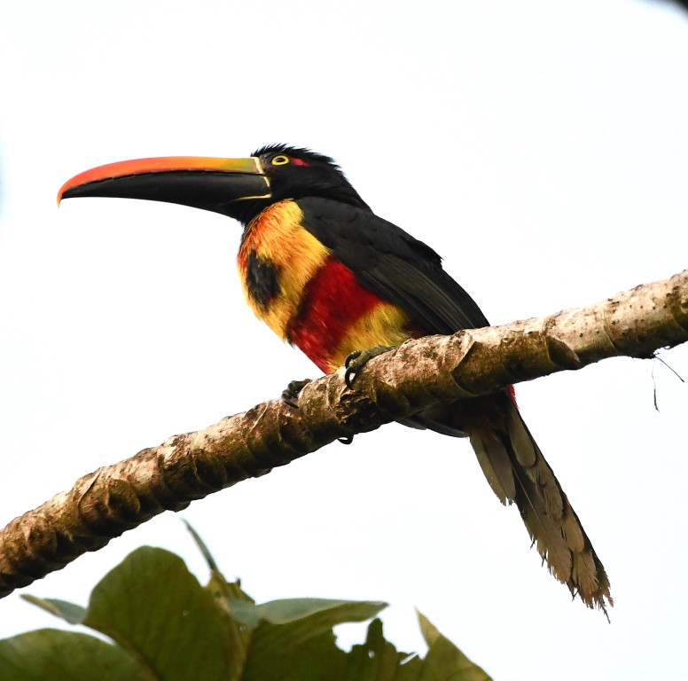 DSC_6016b.jpg