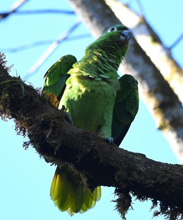 DSC_6227b.jpg