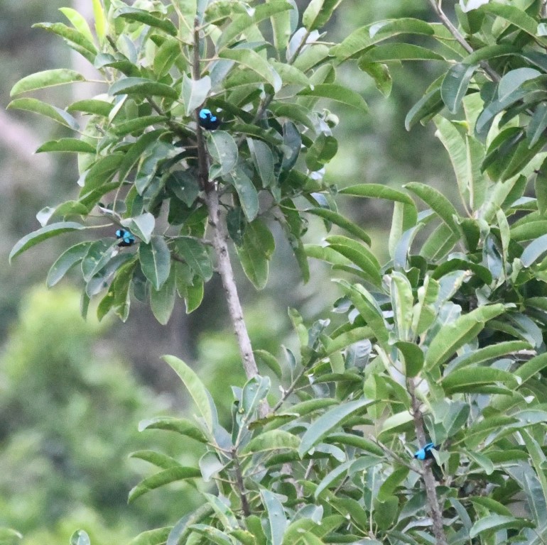 DSC_6649b.jpg