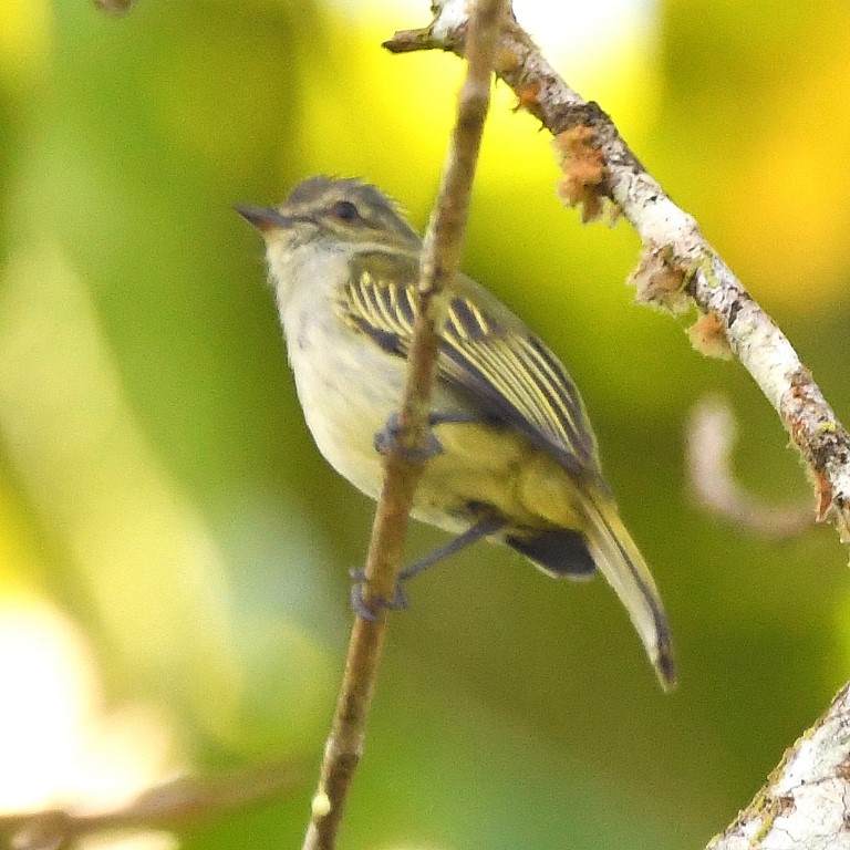 DSC_6878b.jpg
