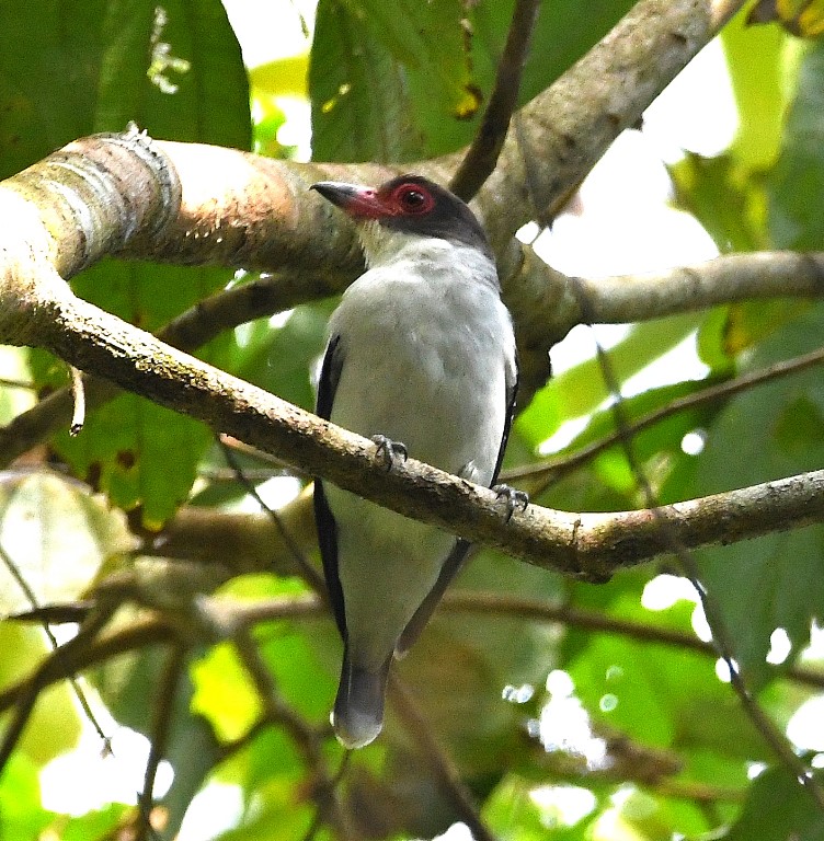 DSC_7345b.jpg