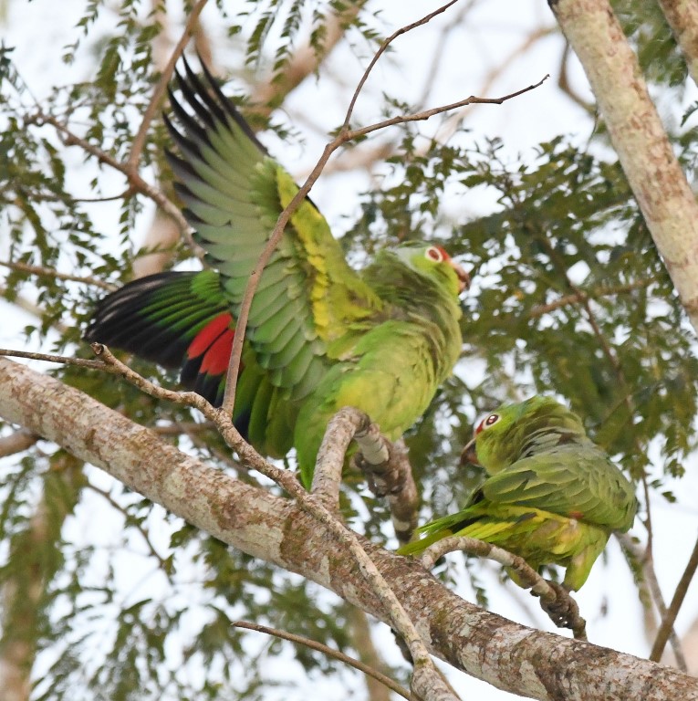 DSC_7444b.jpg