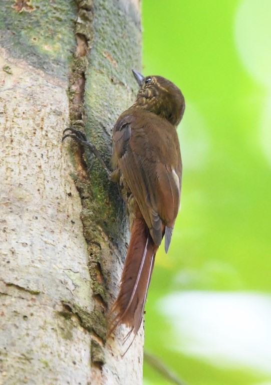 DSC_7733b.jpg