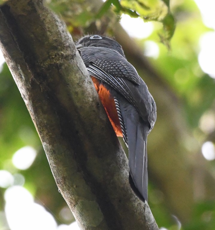 DSC_7843b.jpg