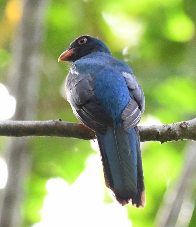 DSC_7857b.jpg
