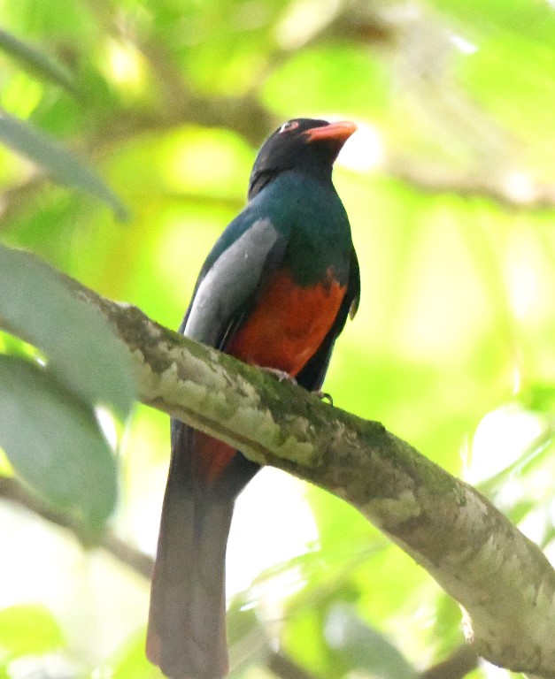 DSC_7896b.jpg