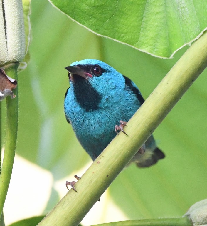 DSC_8050b.jpg