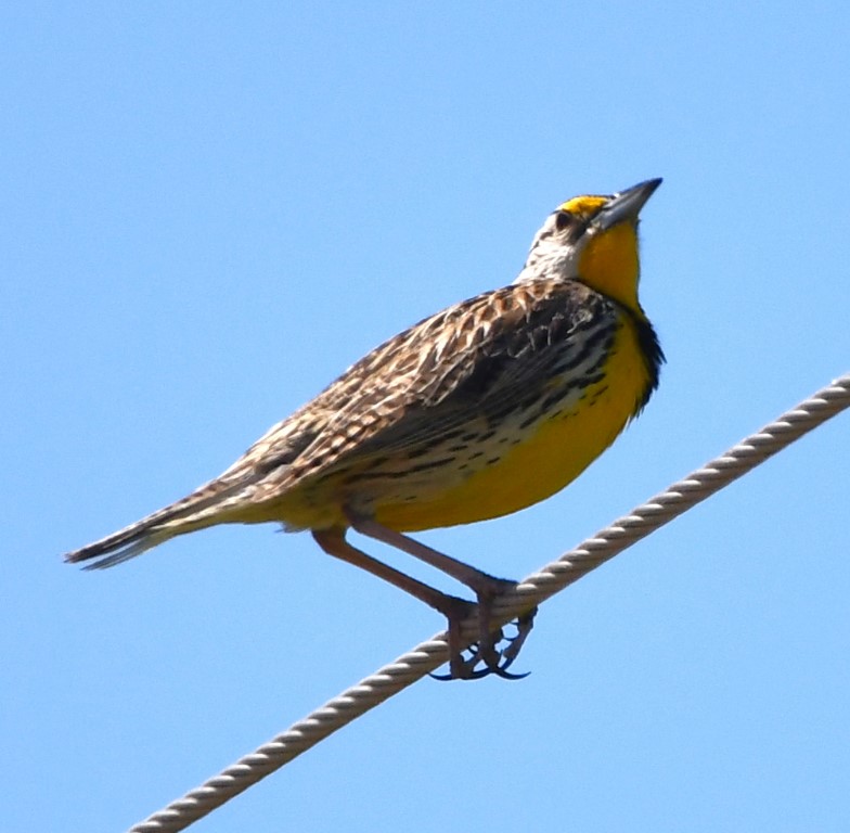 DSC_4366b.jpg