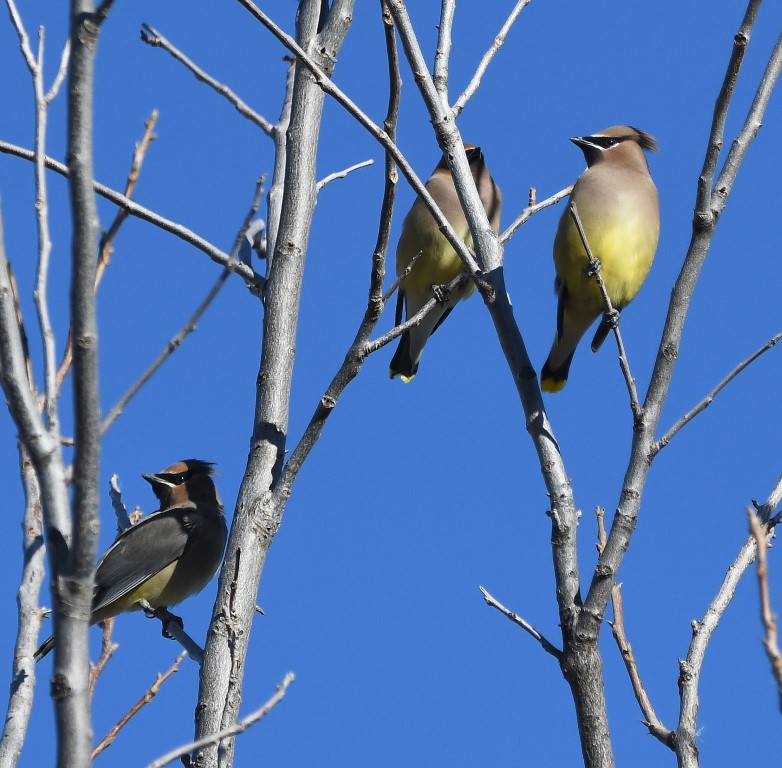 DSC_3539b.jpg
