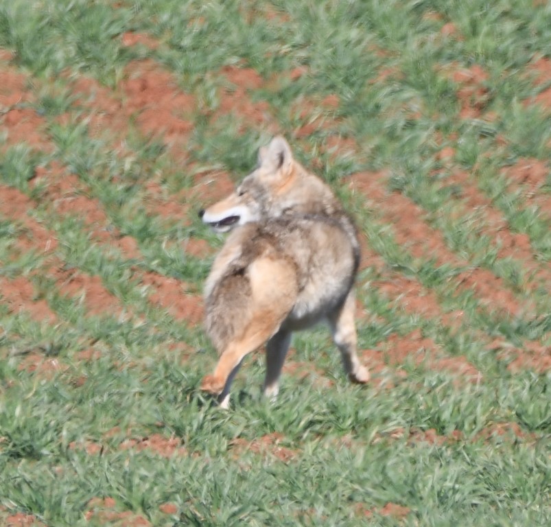 DSC_4320b.jpg