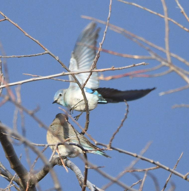 DSC_6697b.jpg