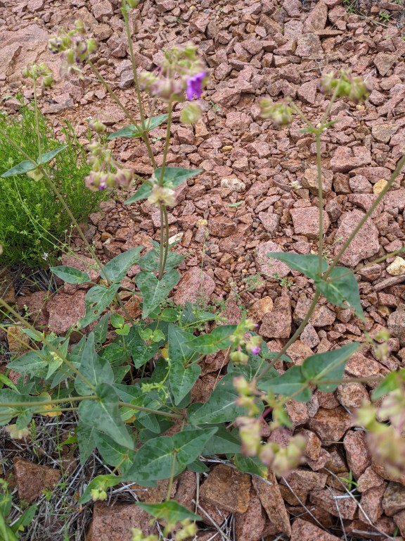 PXL_20210525_143331902.jpg