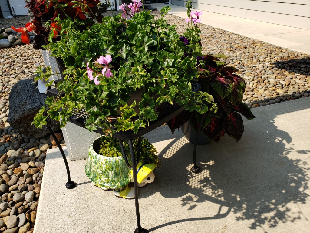 20220910_115756.jpg