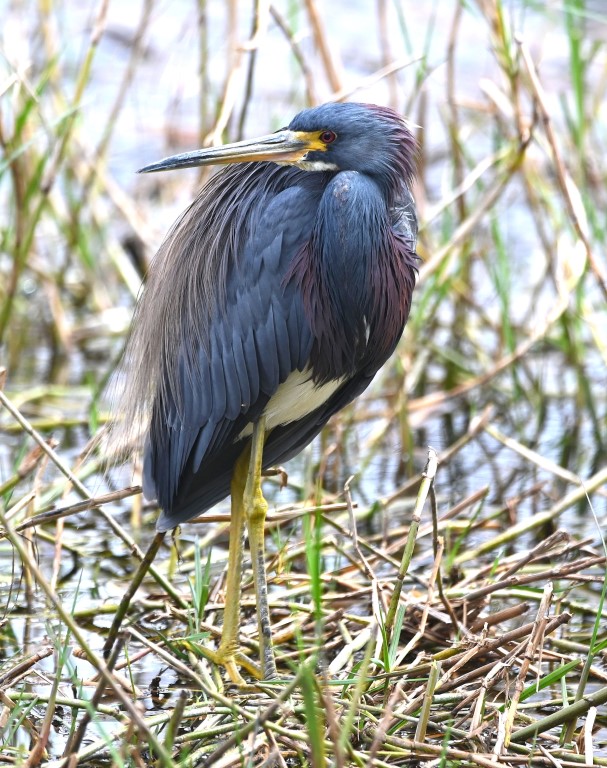 DSC_2982b.jpg