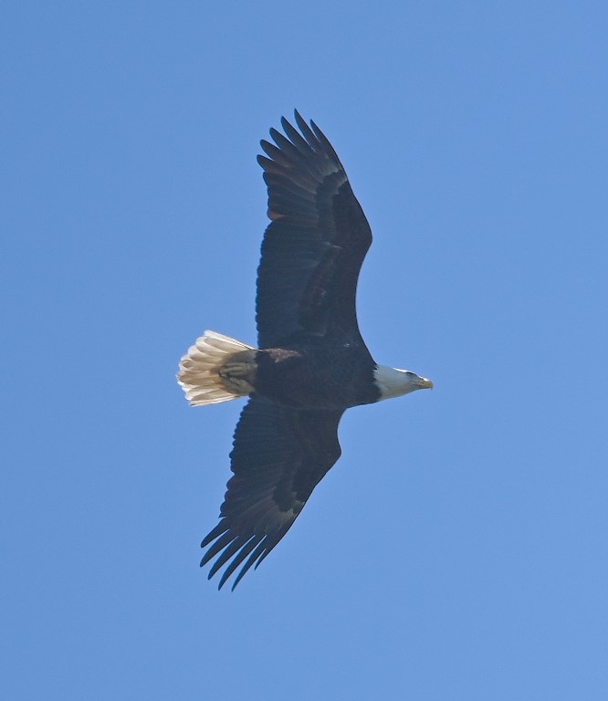 DSC_4085b.jpg