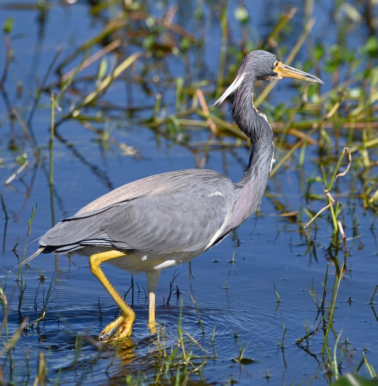 DSC_4146b.jpg