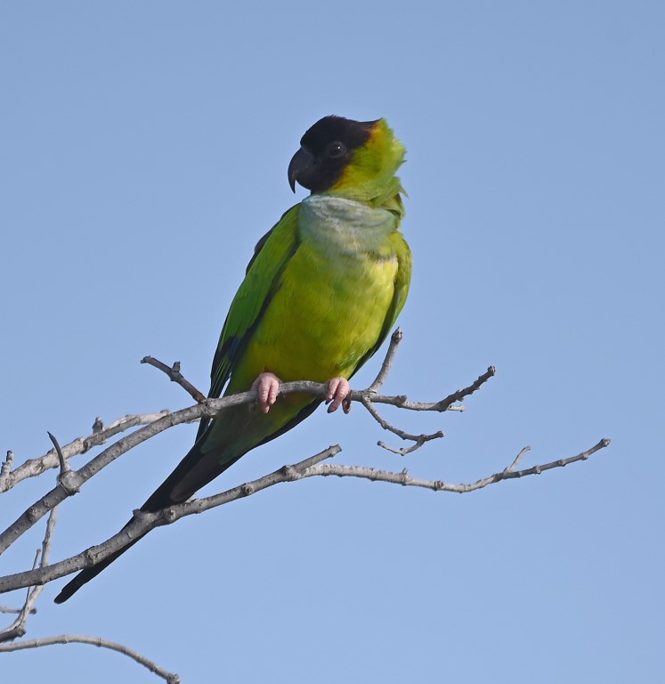 DSC_5348b.jpg