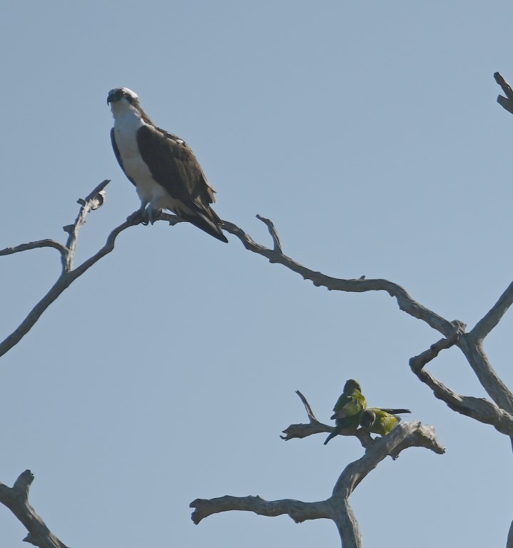 DSC_5709b.jpg