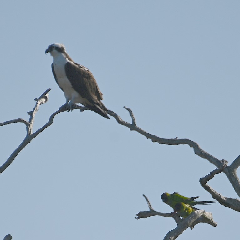 DSC_5710b.jpg