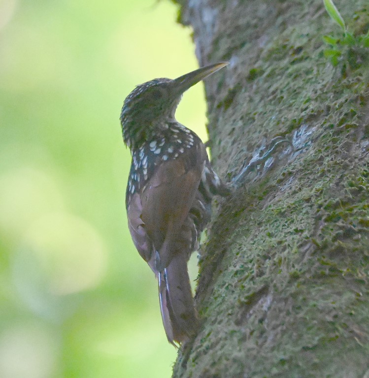 DSC_8196b.jpg