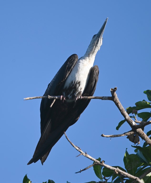 DSC_8326b.jpg