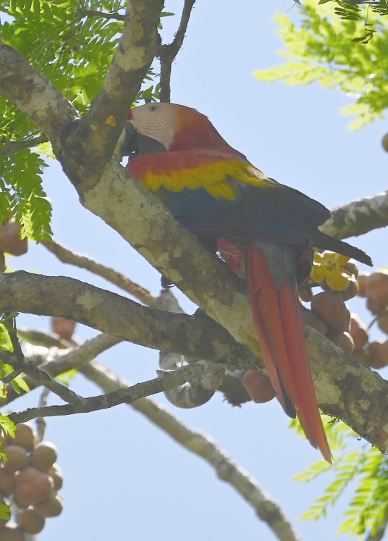 DSC_8626b.jpg