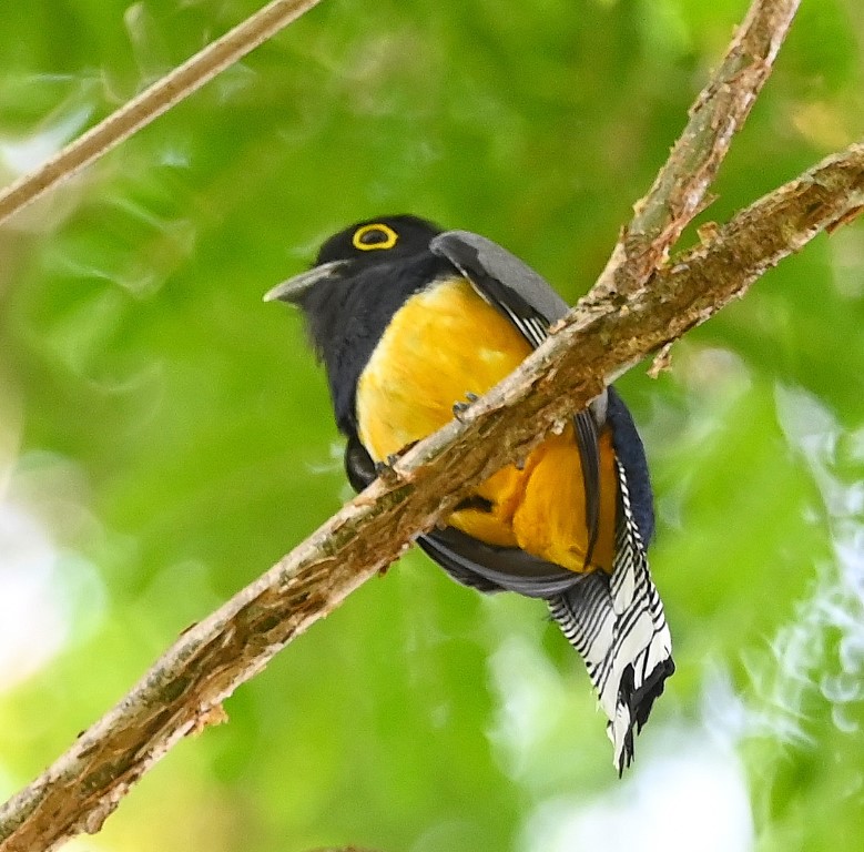 DSC_9041b.jpg