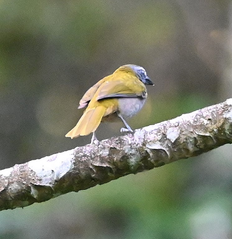 DSC_9268b.jpg