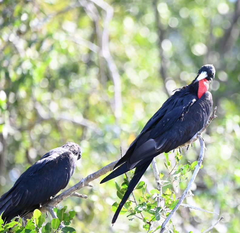 DSC_9834b.jpg