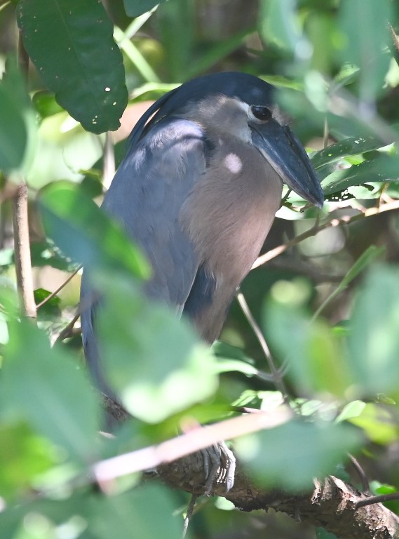 DSC_9876b.jpg
