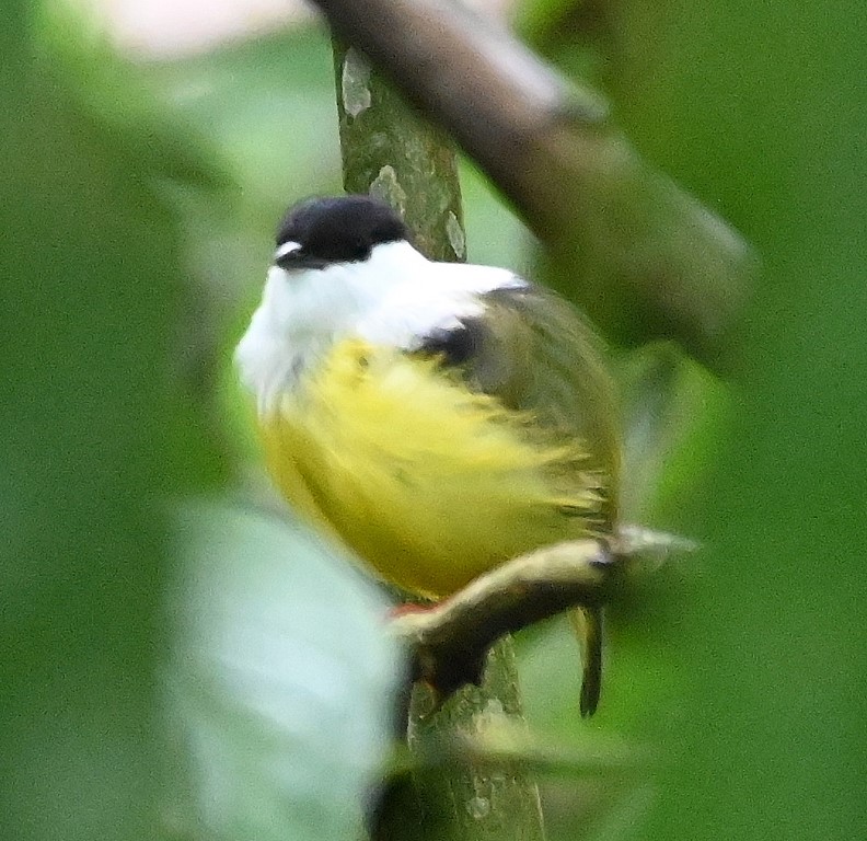 DSC_0643b.jpg