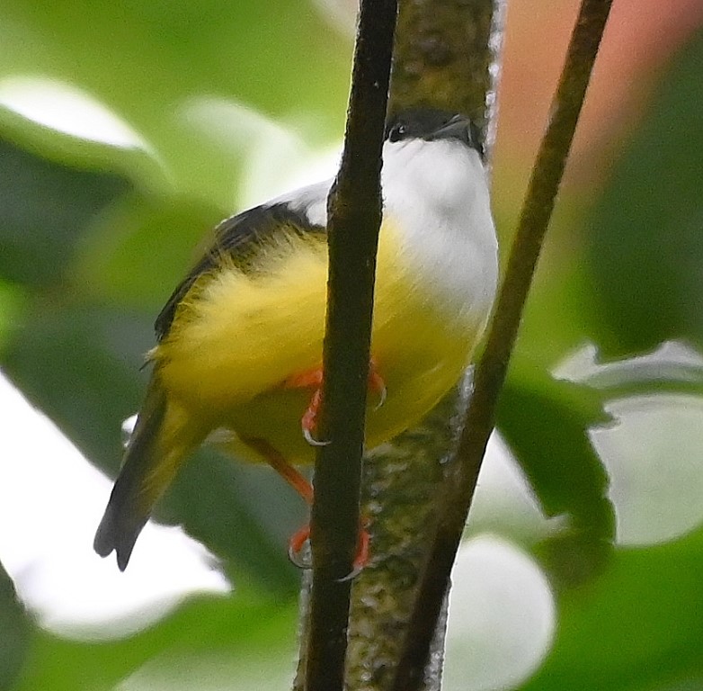 DSC_1200b.jpg