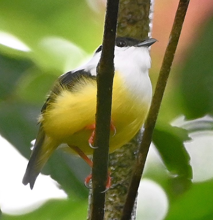 DSC_1201b.jpg