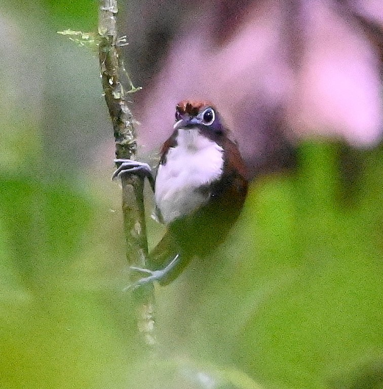 DSC_1416b.jpg