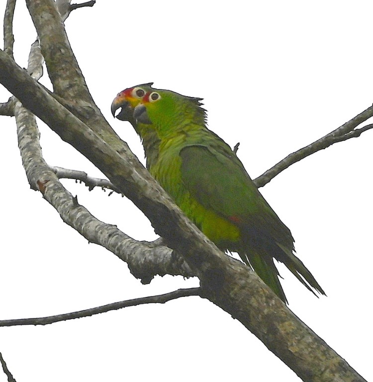 DSC_1484b.jpg