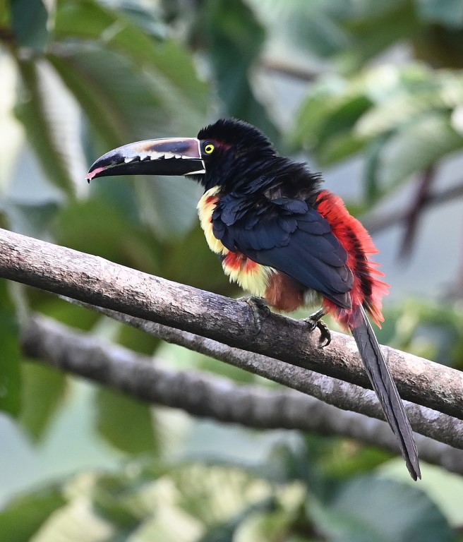 DSC_1780b.jpg