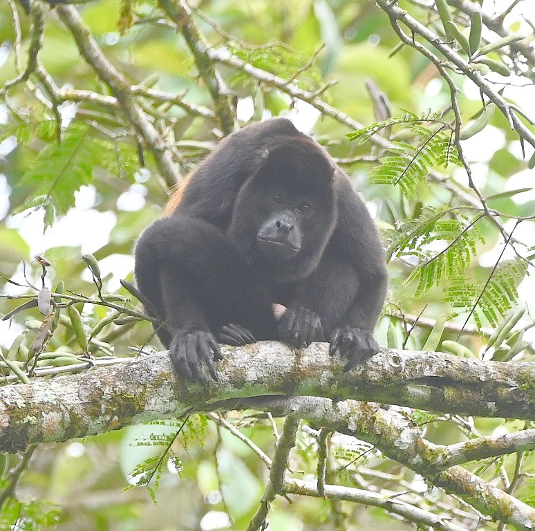 DSC_1932b.jpg