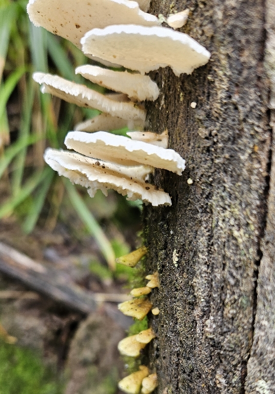 20240304_104334b.jpg