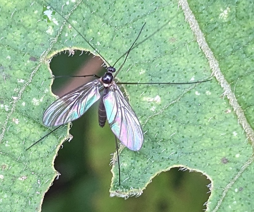 PXL_20240304_161404930b.jpg