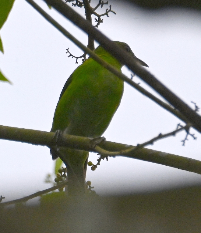 DSC_3086b.jpg