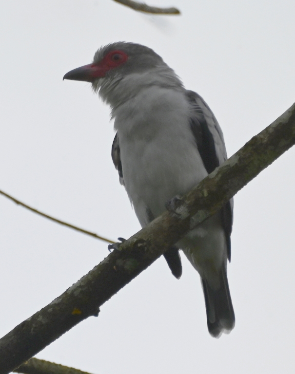 DSC_3137b.jpg