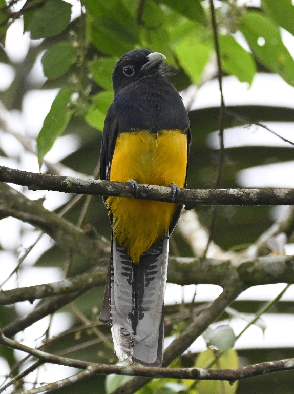 DSC_3284b.jpg