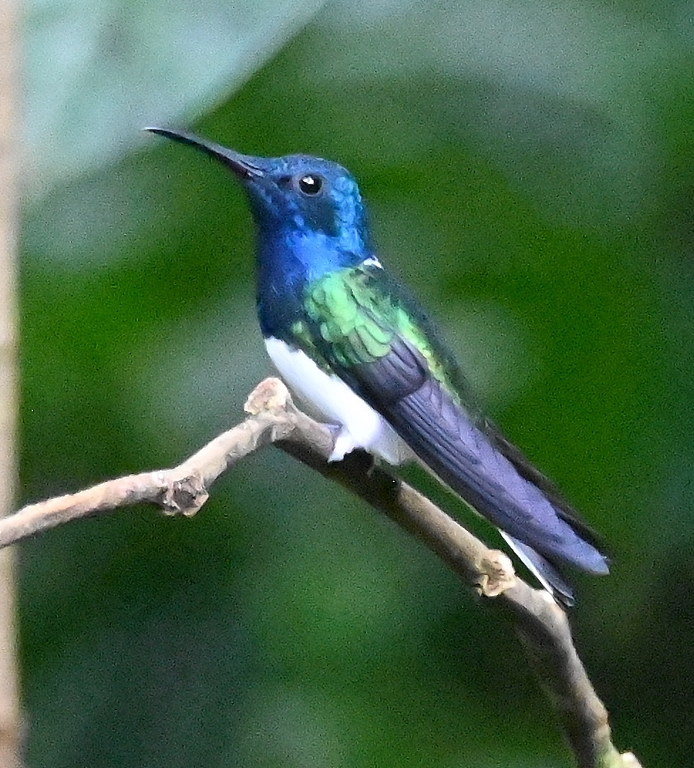 DSC_3287b.jpg