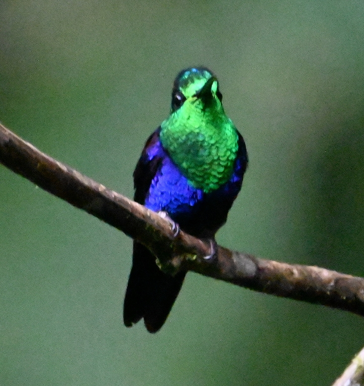 DSC_3314b.jpg
