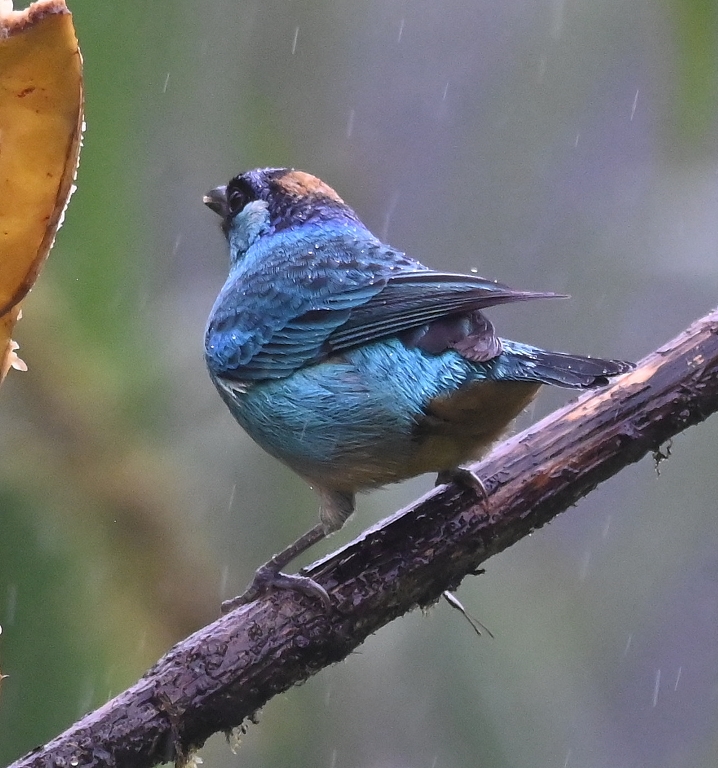 DSC_3551b.jpg