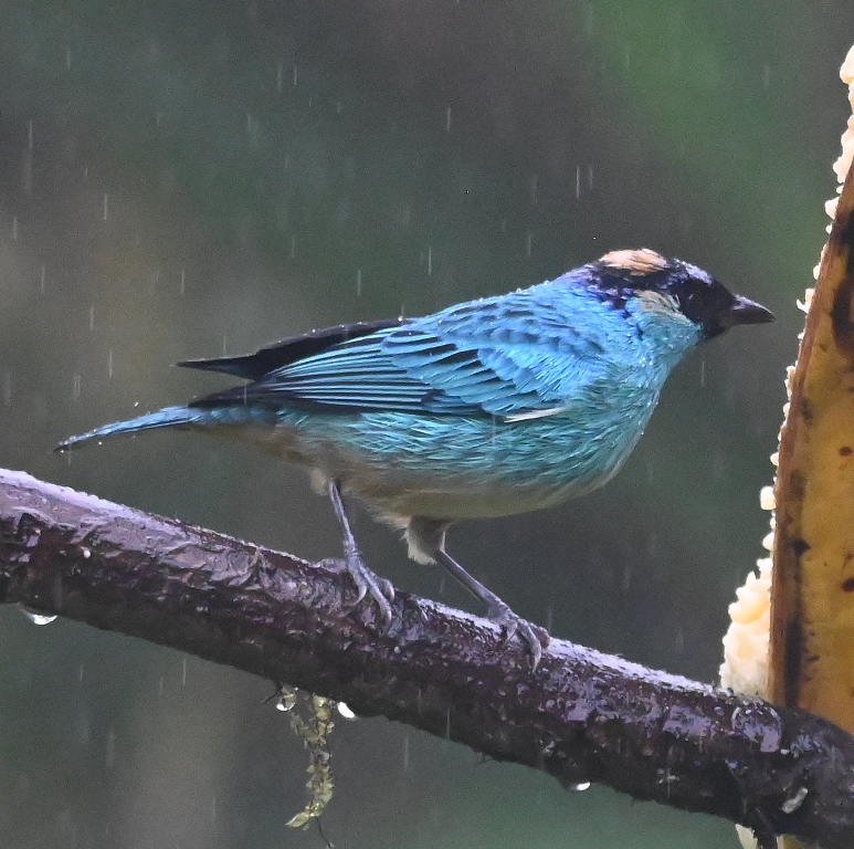 DSC_3647b.jpg