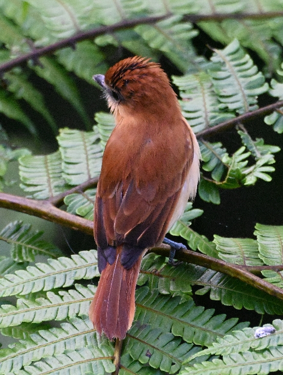 DSC_3862b.jpg