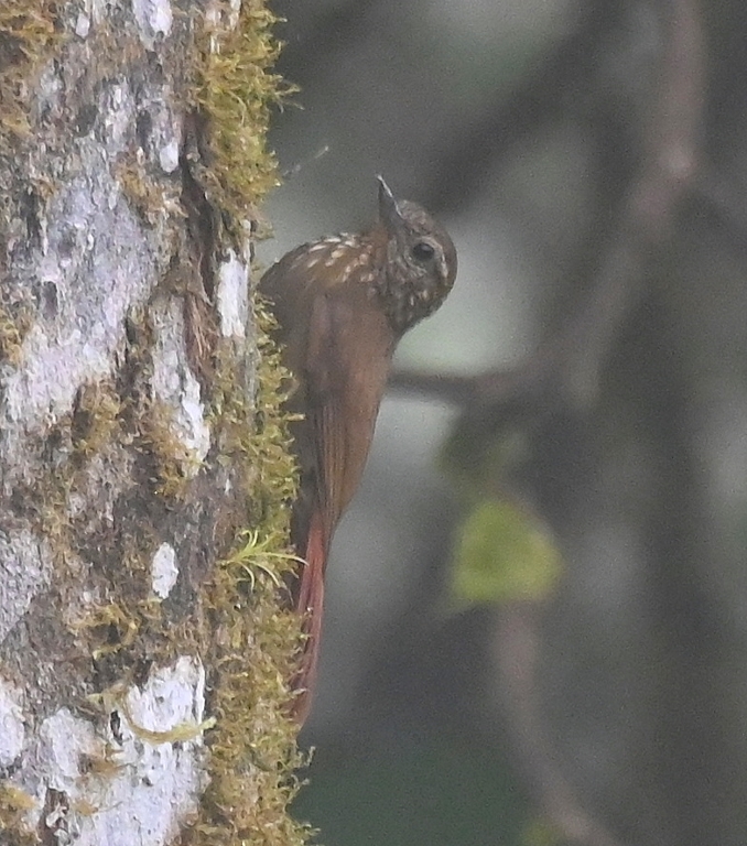 DSC_4059b.jpg
