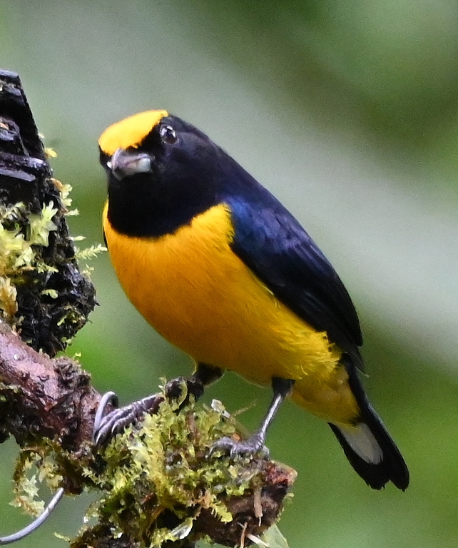 DSC_4593b.jpg